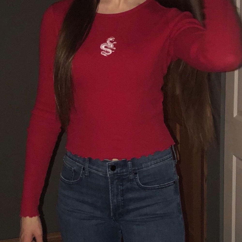 Hollister  long sleeve dragon tee